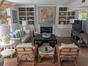 Smart TV, fireplace, books, video library