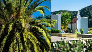A palm tree and a building with a statue on top. - Wilkes Way Villa (Picton)