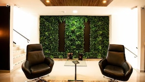 Ảnh chưa phân loại, 3 trong số 20 ảnh, nút