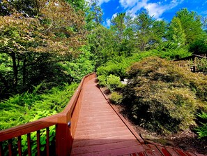 A wooden boardwalk through a lush green forest. - Cabin, hot tub, High Speed Internet, fire pit, resort, hiking, boating,spa,golf (Lake Lure)
