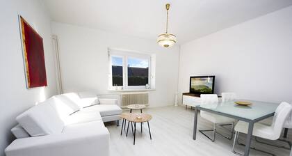 Beautiful house with garden.