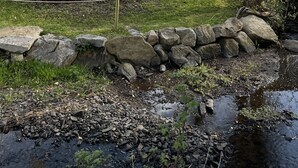 Eksteriør