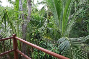 Habitación básica doble, 1 cama de matrimonio grande | Vistas del balcón