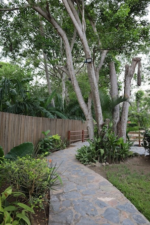 Exterior - Solez Zihuatanejo (Zihuatanejo)