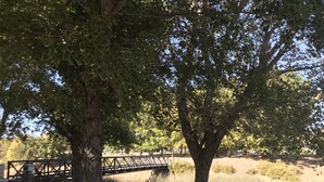 Un parc avec des tables de pique-nique, un pont et des arbres.