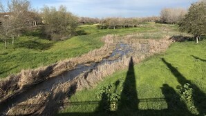 Un paysage naturel comprenant un ruisseau, des zones herbeuses et des arbres.