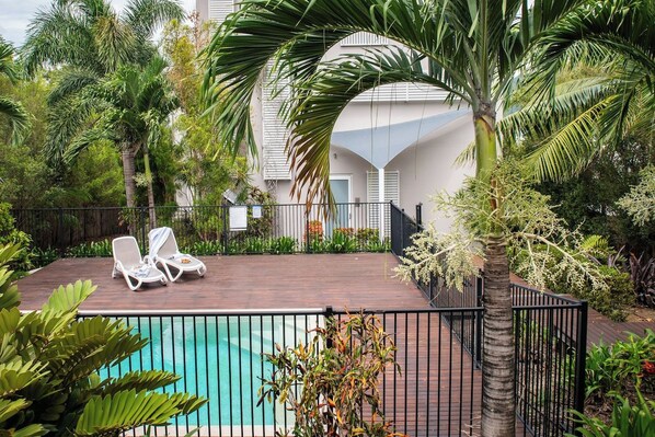 A pool area with lounge chairs and a palm tree.