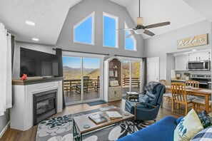 Smart TV, fireplace, books