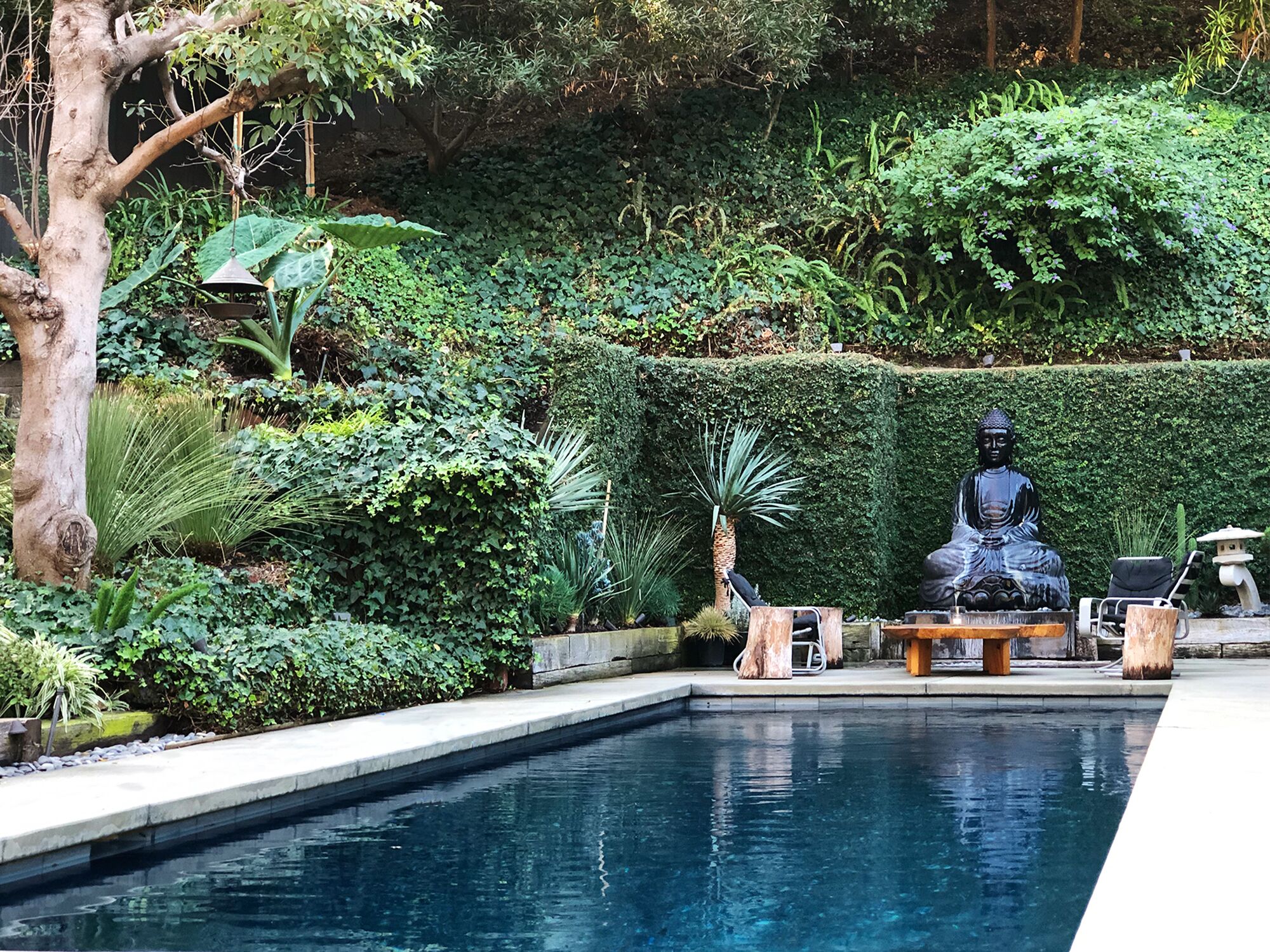 Un jardín tranquilo con una estatua de Buda, una piscina y abundante vegetación.