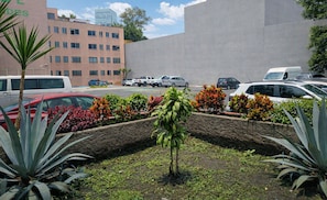 A parking area with various cars, a palm tree, and a building with multiple windows in the background.