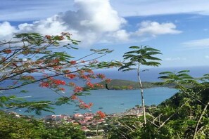 Unclassified image, 2 of 8, button