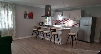Modern Brand New 1 bedroom 1 bath apartment