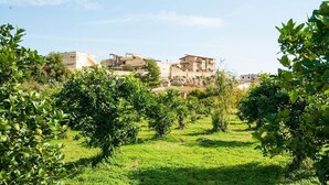 Un quartier résidentiel avec des maisons et une végétation luxuriante.