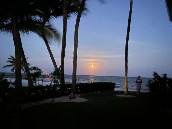 On the beach, sun loungers, beach towels