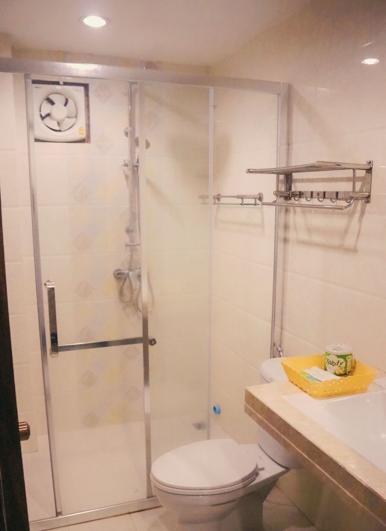 A bathroom with a glass-enclosed shower, a toilet, and a sink with a towel rack.