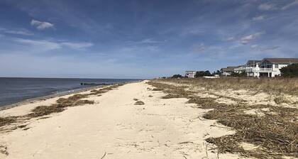 BayDreamer ~ ¡Un lugar perfecto para soñar! Pool ~ Pet-Friendly ~ 1. 5 Blks from Bay