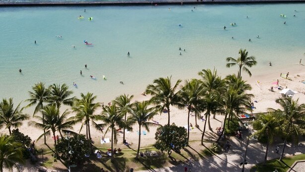 Ein Strand mit Palmen und Menschen, die schwimmen und sonnenbaden.