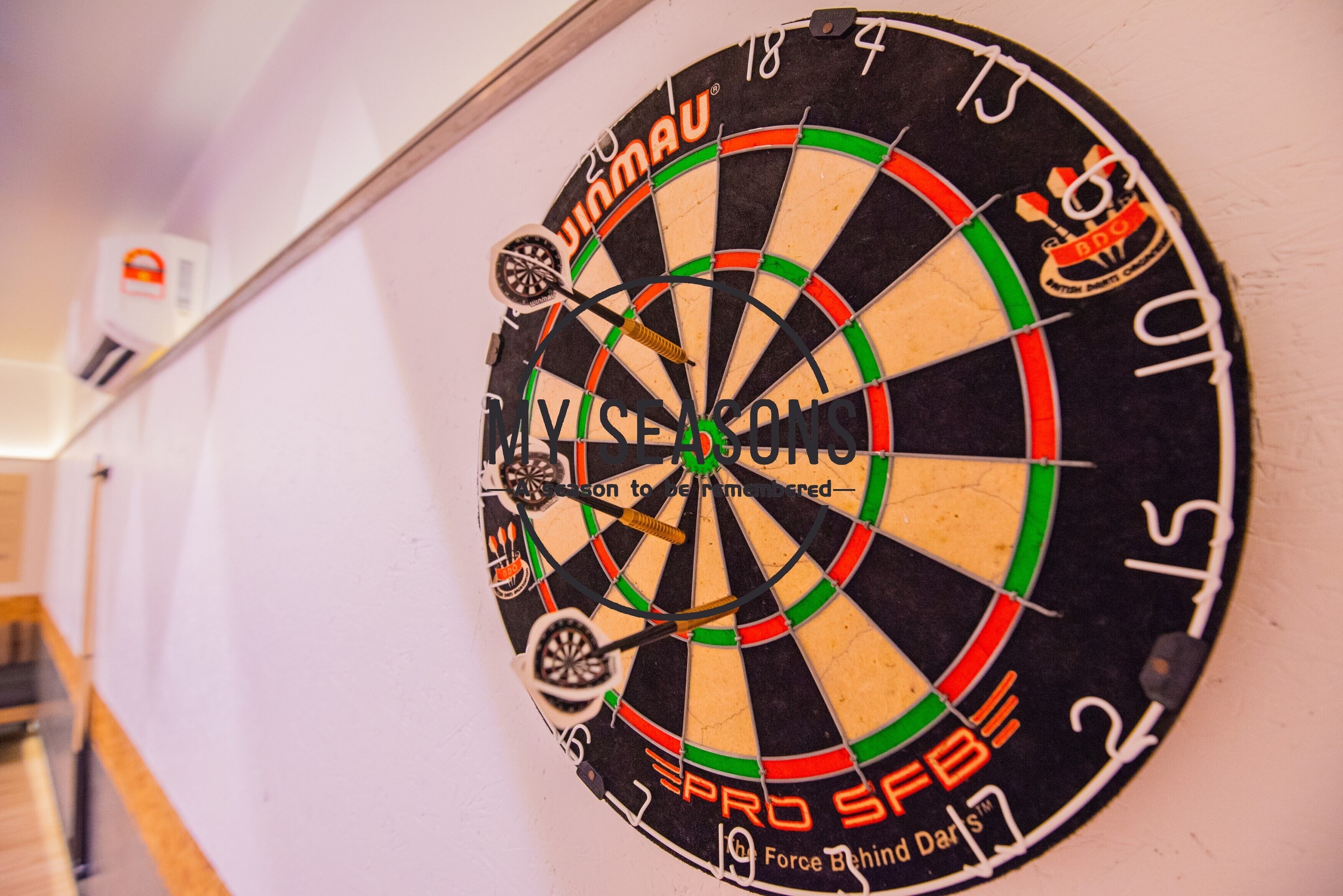 A dartboard with the text "WINMAU" and "PRO SPB" on it.