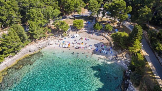 Vista aérea de una playa con agua turquesa cristalina, rodeada de frondosos árboles verdes.