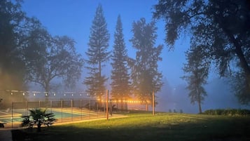 Un espace piscine entouré d’une clôture, agrémenté de guirlandes lumineuses et bordé d’arbres.