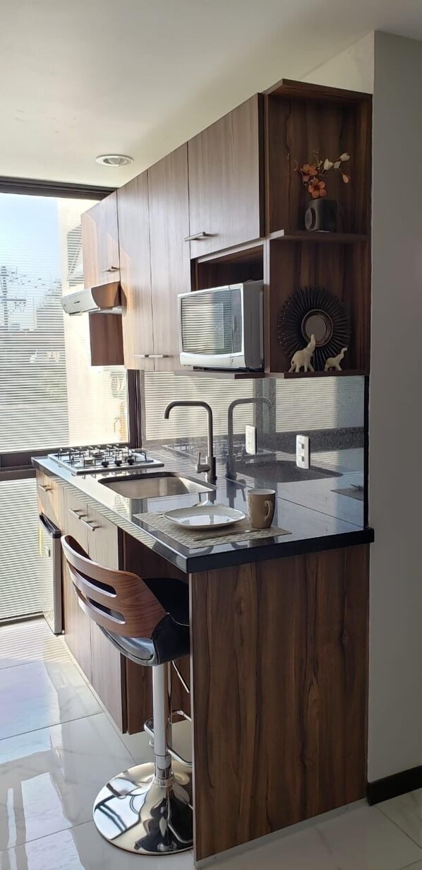 Frigobar, microondas, horno, placa de cocina