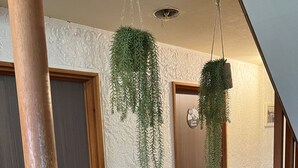 A wooden staircase with a handrail, a textured wall, and two hanging plants. - Ringo Jam Madarao (Myoko)