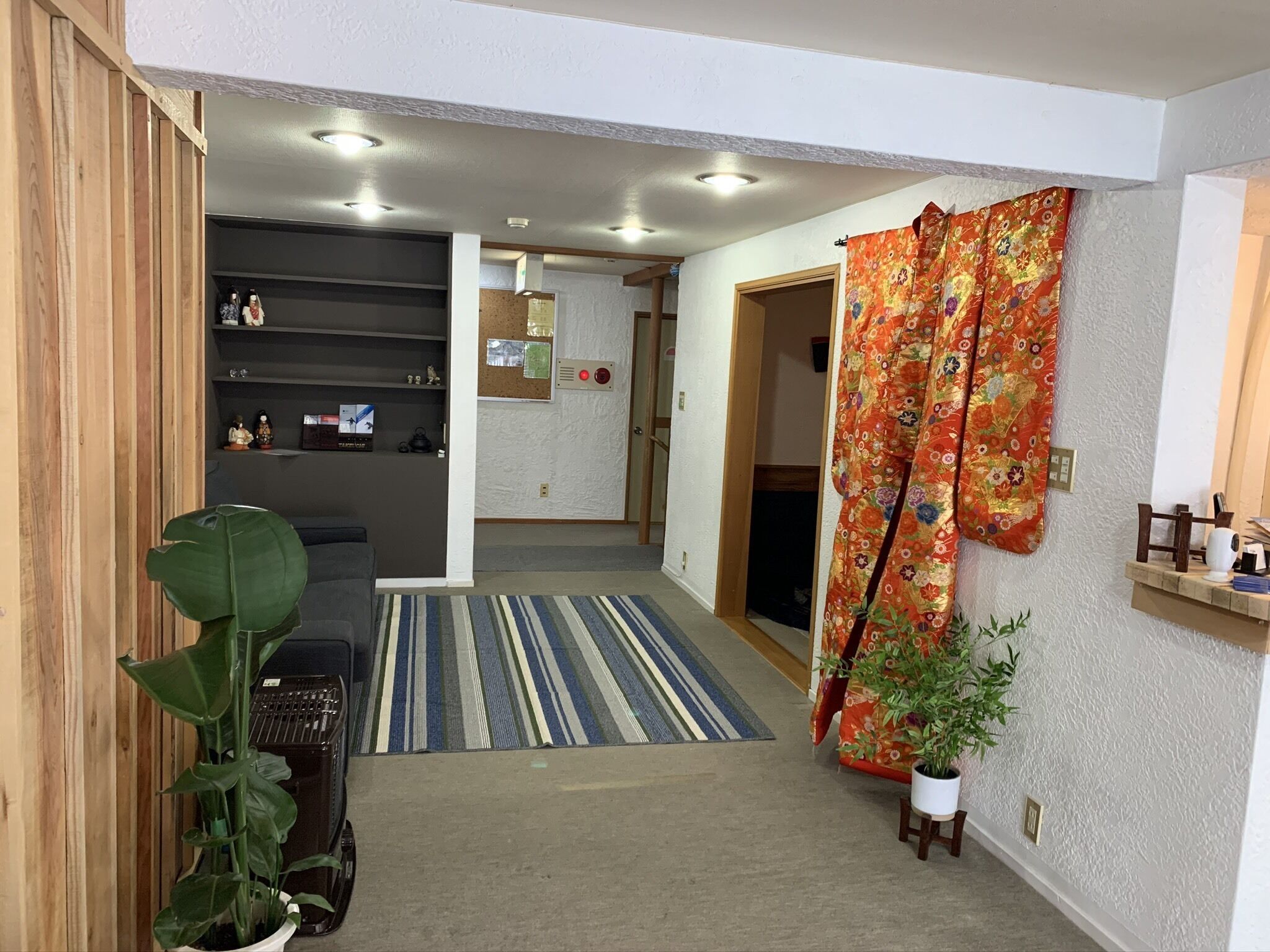 Un pasillo con alfombra a rayas, una planta en maceta, un estante de madera y una puerta con cortina floral.