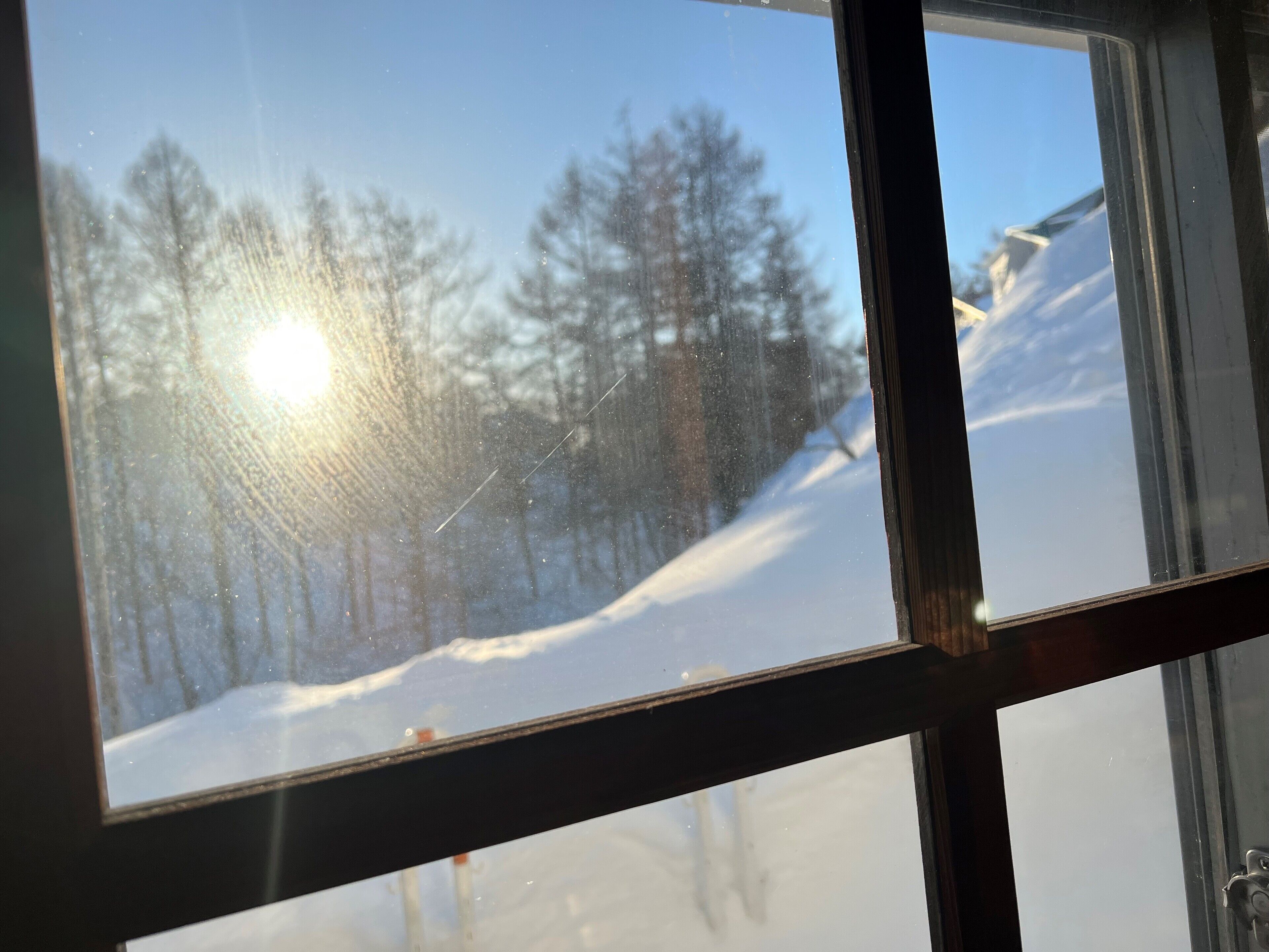 A window with a view of a snowy landscape and trees.