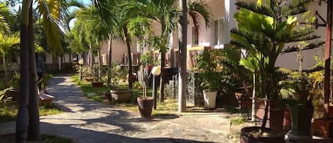 A pathway lined with potted plants and palm trees leading to a building with a thatched roof.