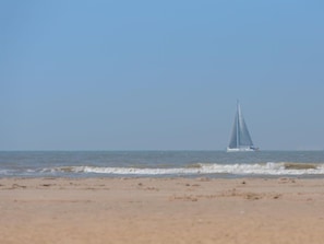 بالقرب من الشاطئ