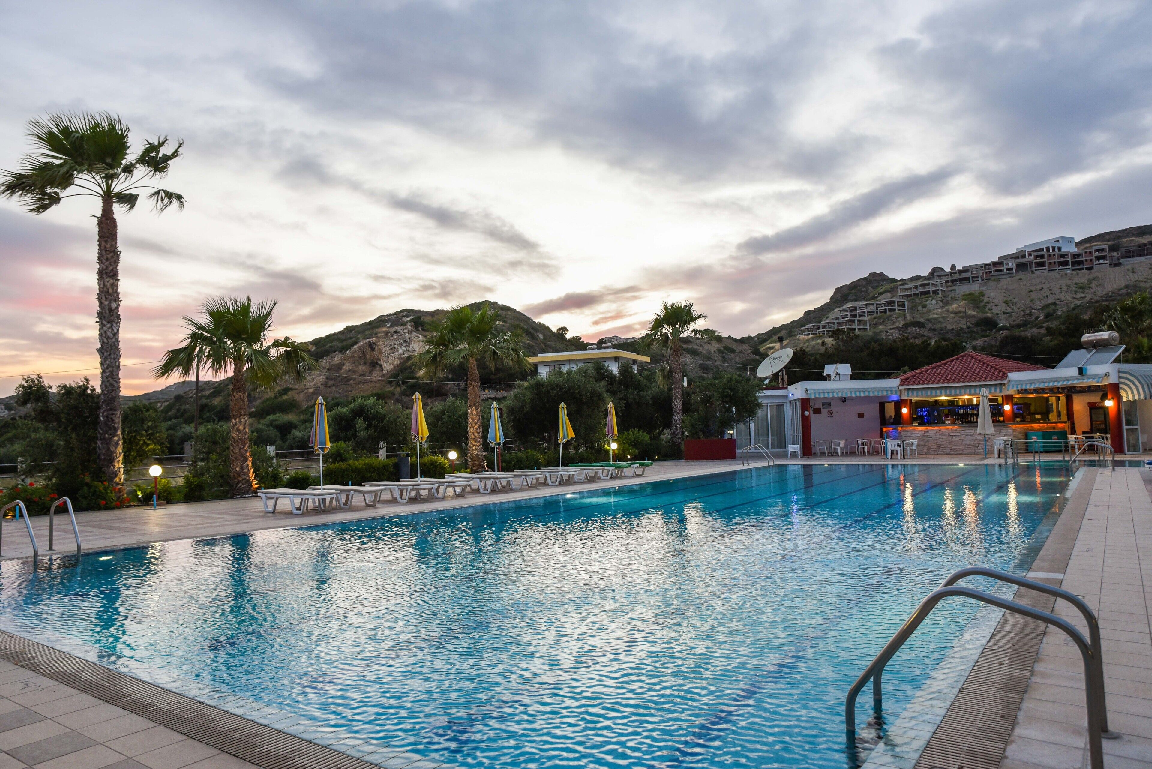 Piscina con sillas de descanso y sombrillas, rodeada de palmeras y una zona de bar.