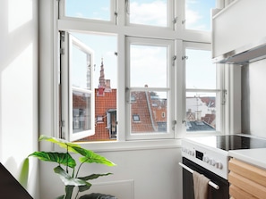 A kitchen with a large window, a stove, and a plant. - Saint - Nice 1-bdr Apt by the Canals (Copenhagen)