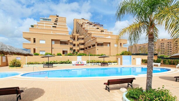 A pool area with a tiled floor, benches, and a palm tree. - Lovely apartment for 6 people with A/C, pool, TV and terrace (Orpesa Oropesa Del Mar)