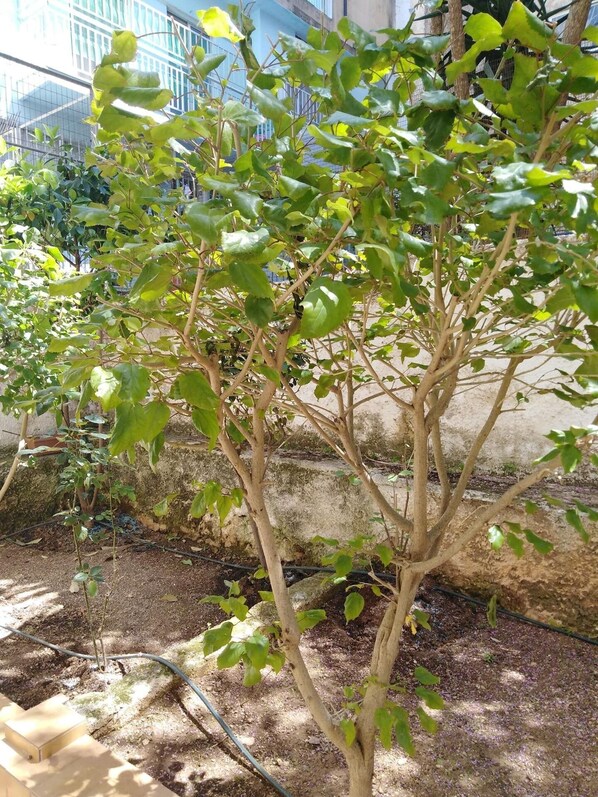 Details aan de buitenkant