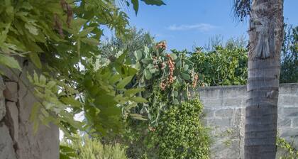 Apartment With Pool And Panoramic Terrace