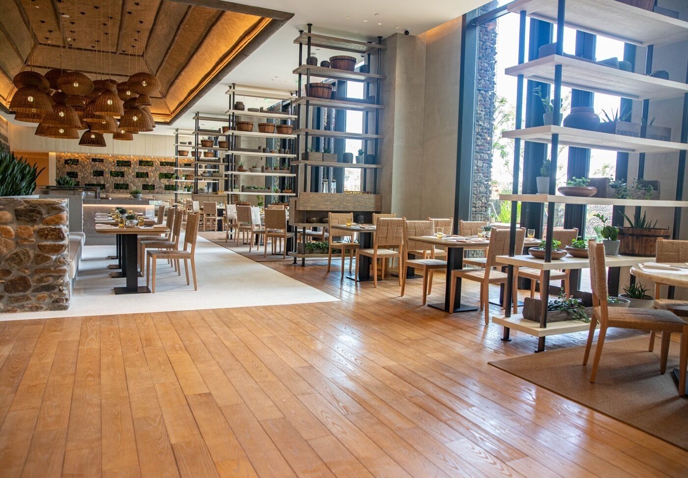 A spacious cafe with wooden flooring, multiple seating areas, and shelves with plants.