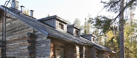 Eksteriør