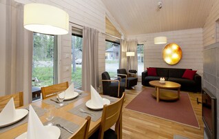 Apartamento, 2 habitaciones, sauna (60 m2) | Sala de estar | Una chimenea