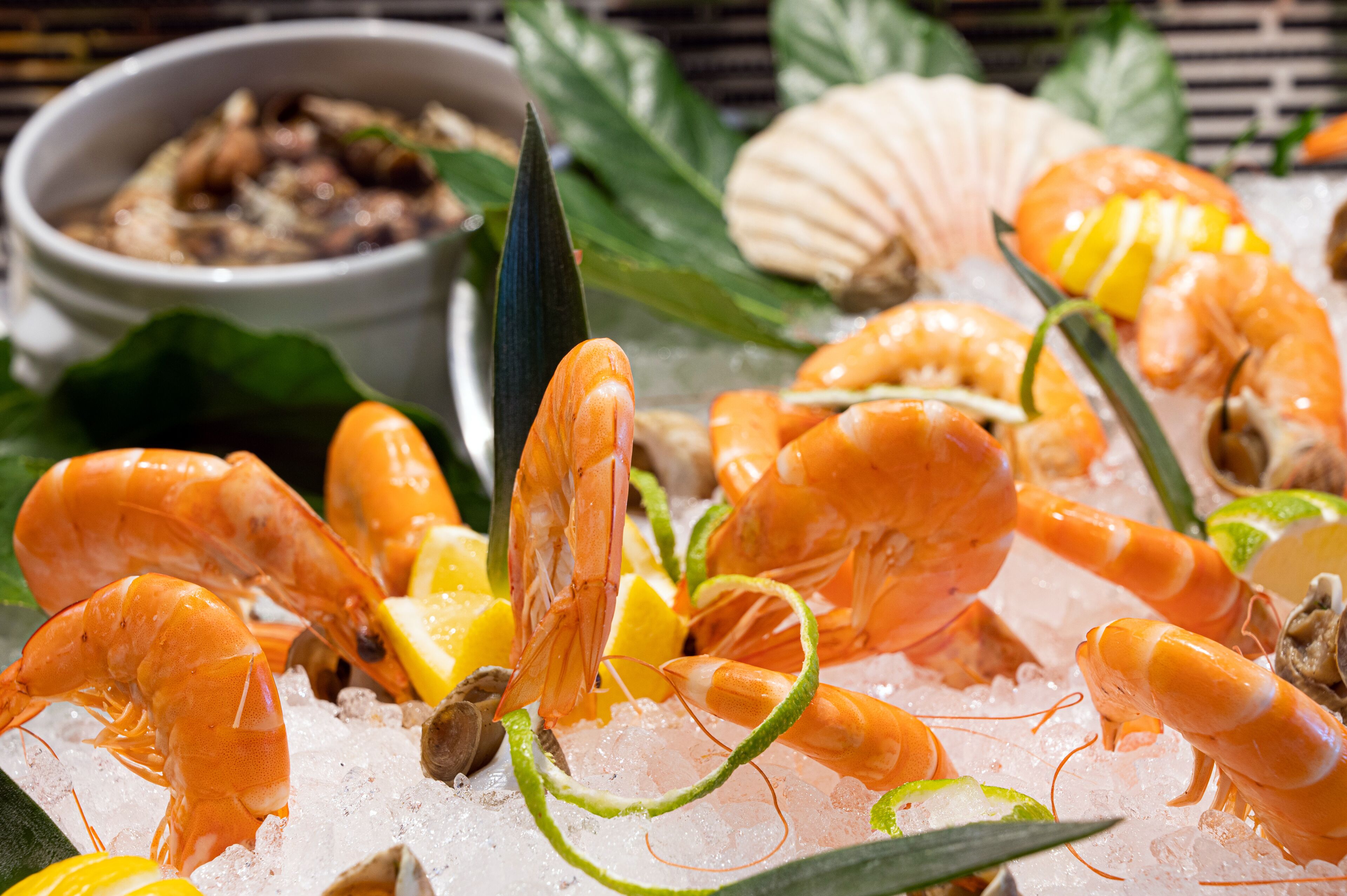 A seafood platter with shrimp, lime, and other garnishes on ice.