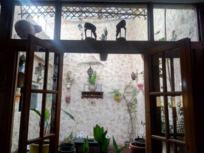 An open wooden door leading to a courtyard with potted plants and a hanging lantern.