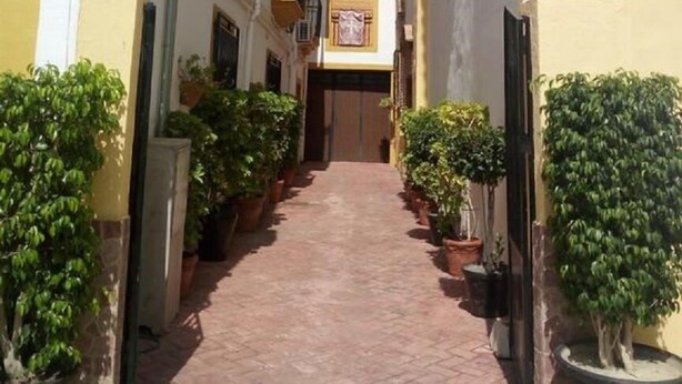 Un estrecho callejón bordeado por edificios con plantas en macetas y una verja cerrada al final.