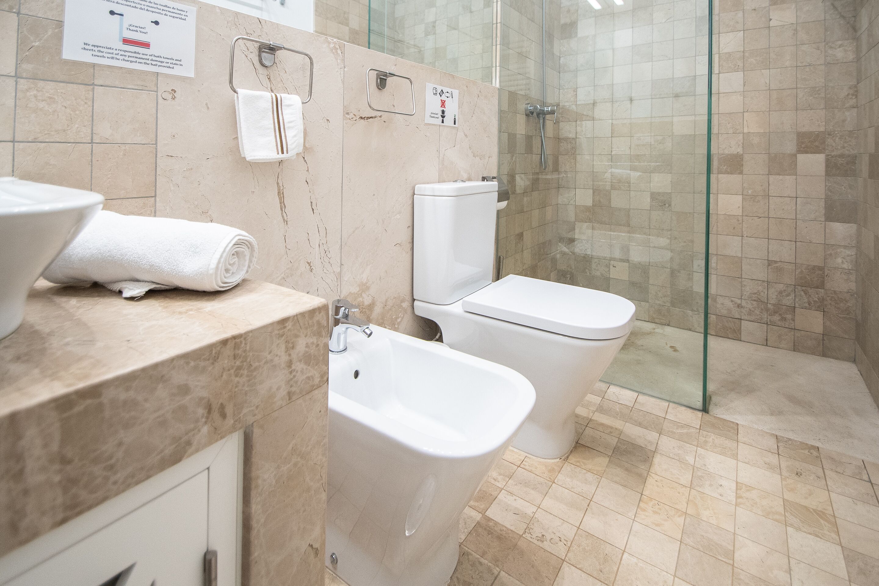 A bathroom with a toilet, bidet, and shower area.
