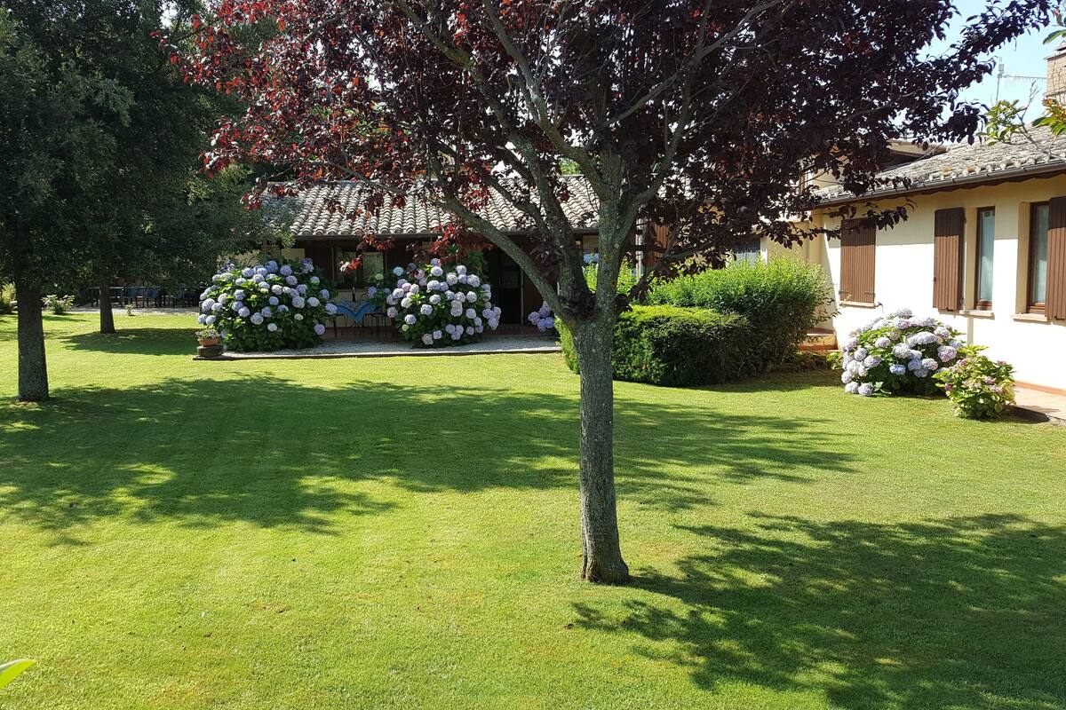 A well-maintained garden with a lawn, a variety of shrubs, and a building with a tiled roof.