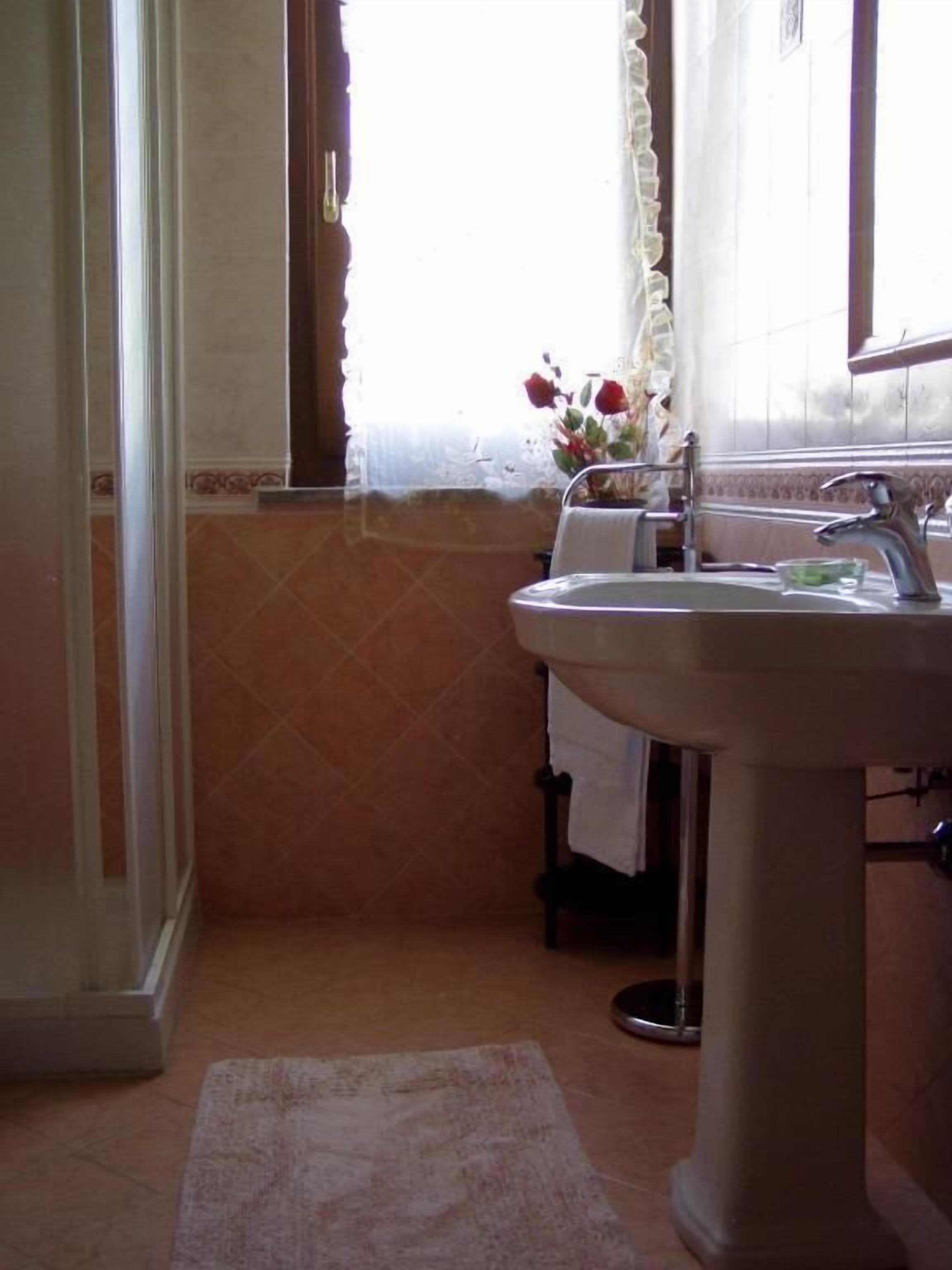 A bathroom with a sink, a mirror, and a window with a curtain.