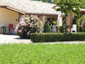 Courtyard - Agriturismo Casale del Contadino (Bolsena)