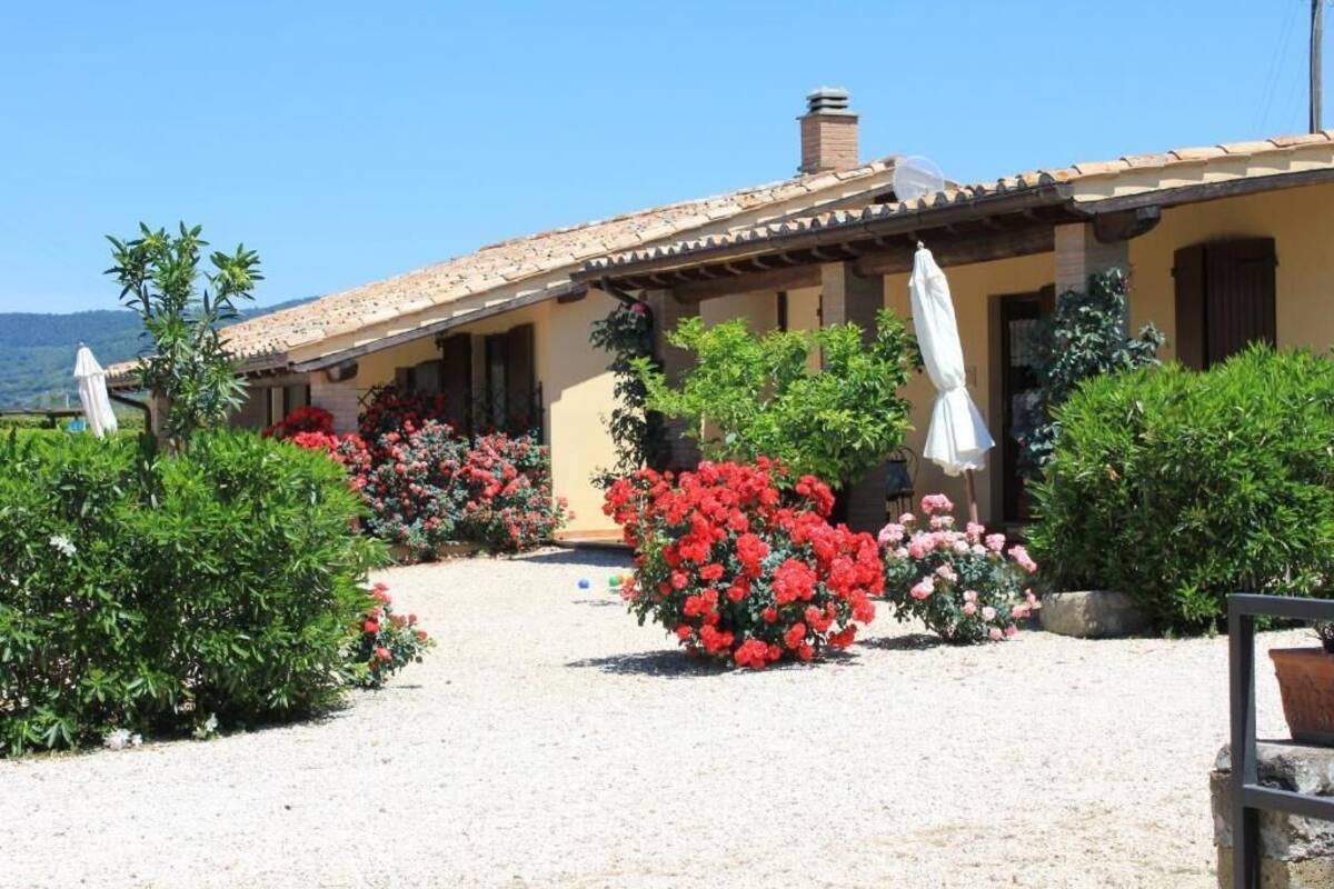 A building with a tiled roof and a gravel pathway leading to a door. There are potted plants and flowers along the pathway.