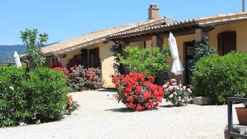 Courtyard view