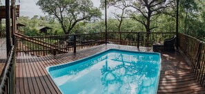 室外游泳池，日光浴躺椅