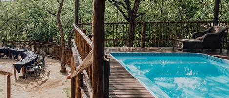 Outdoor pool, sun loungers