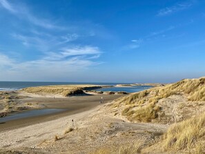 A coastal landscape with dunes, a beach, and a clear sky.